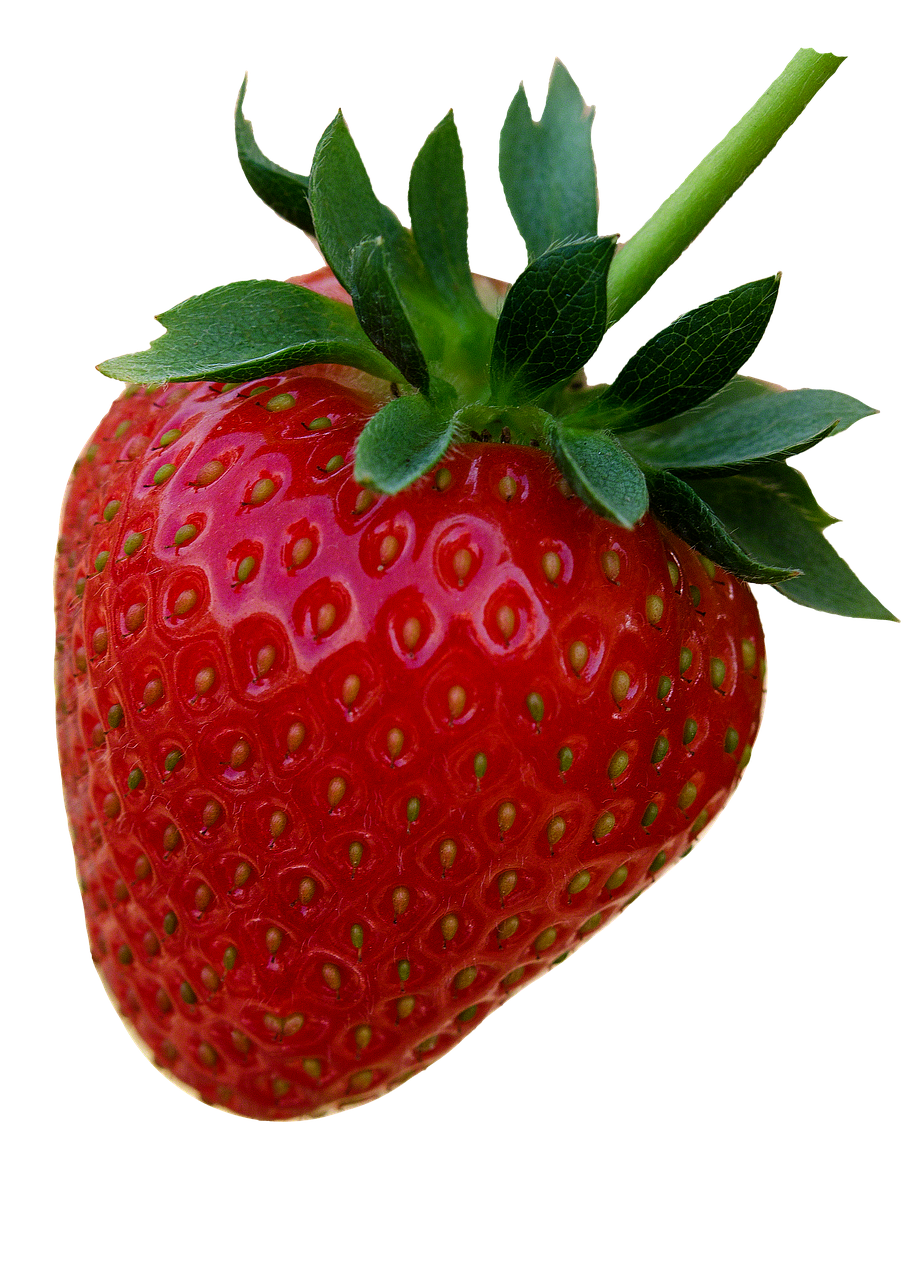 strawberry  red  fruit free photo