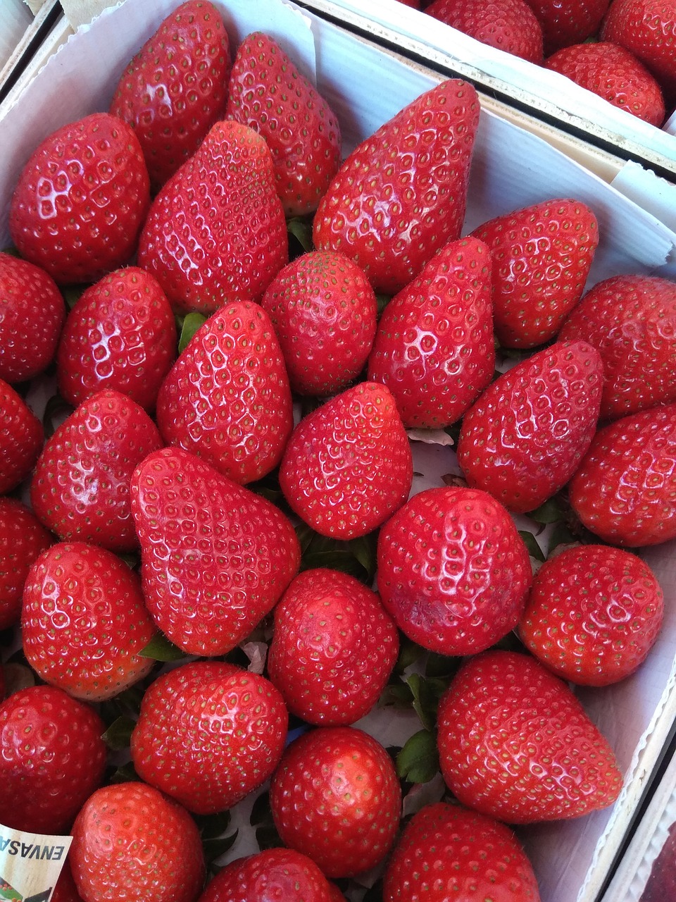strawberry  strawberries  fruit free photo