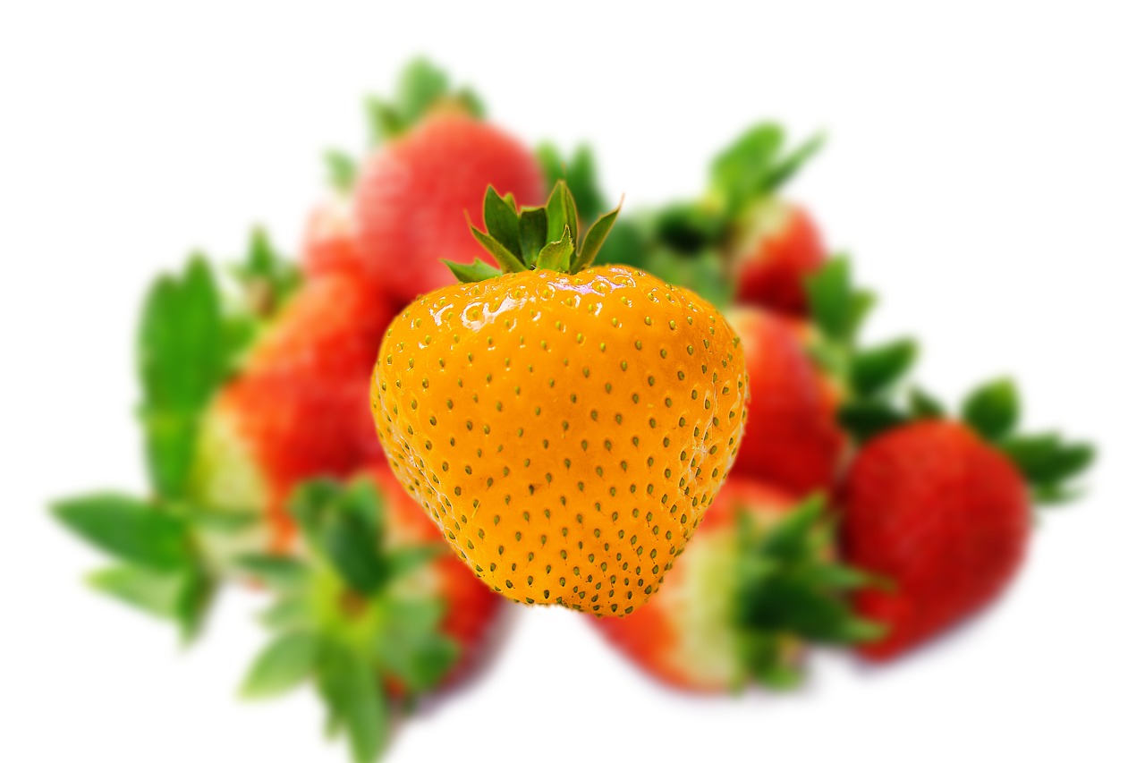 strawberry  distinction  distinguish free photo