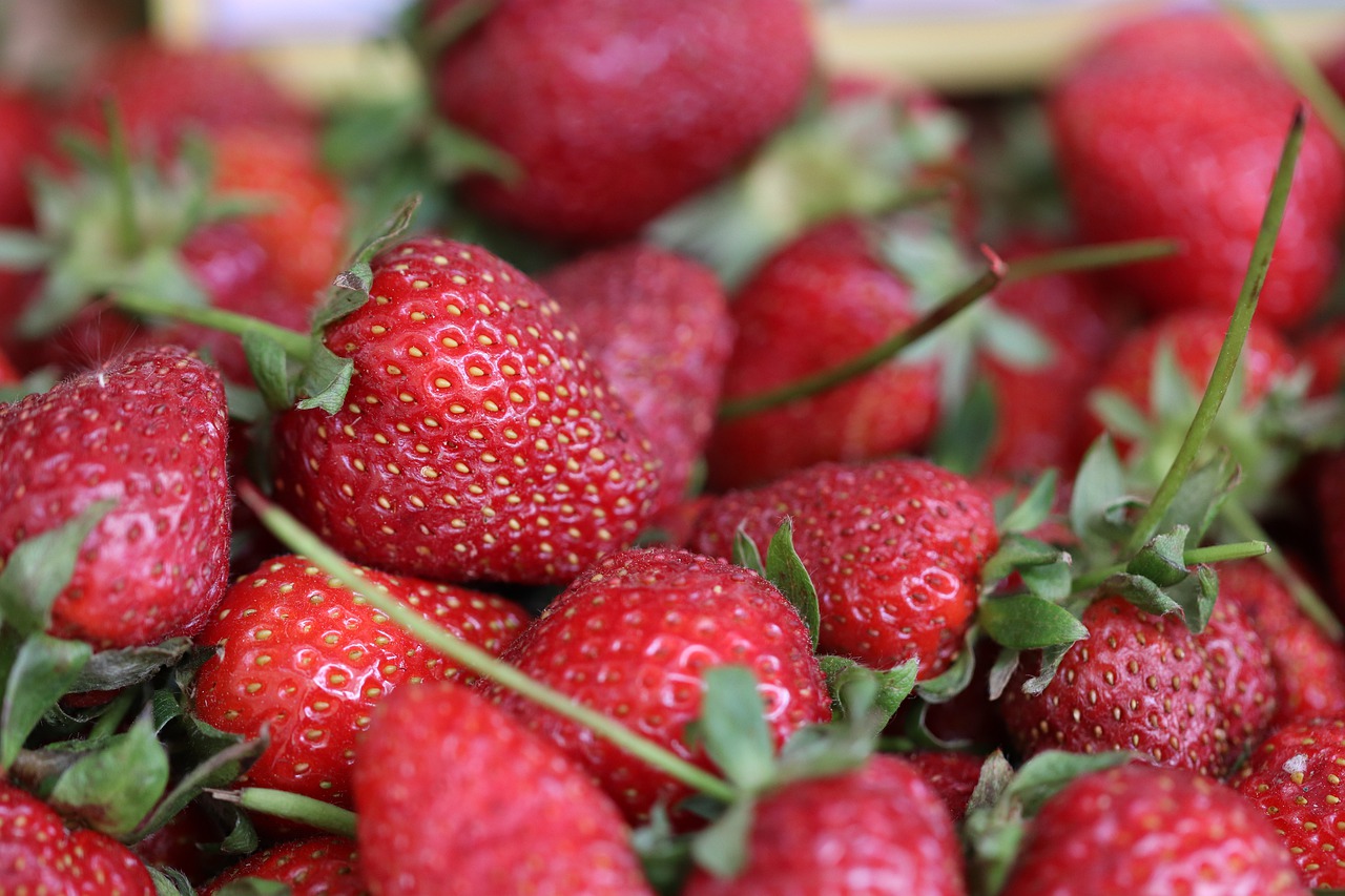 strawberry  fresh  red free photo