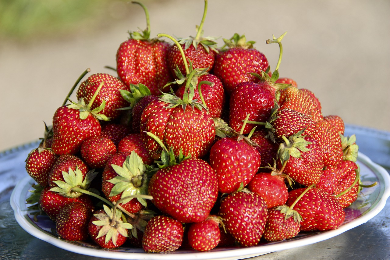 strawberry  berry  fruit free photo