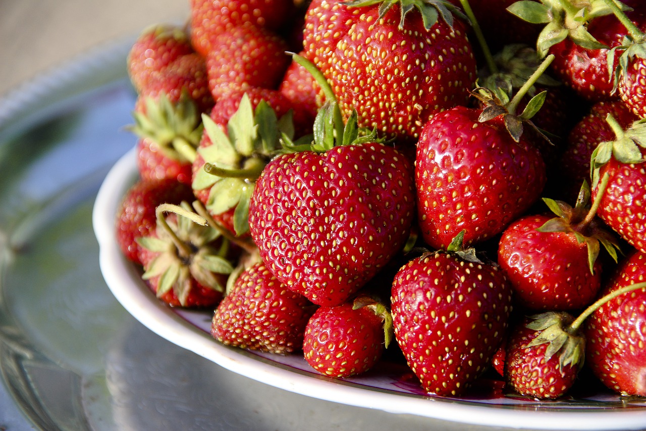 strawberry  berry  fruit free photo