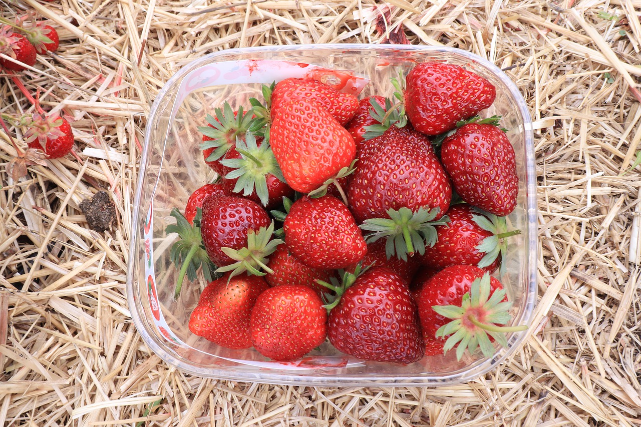 strawberry  fruits  food free photo