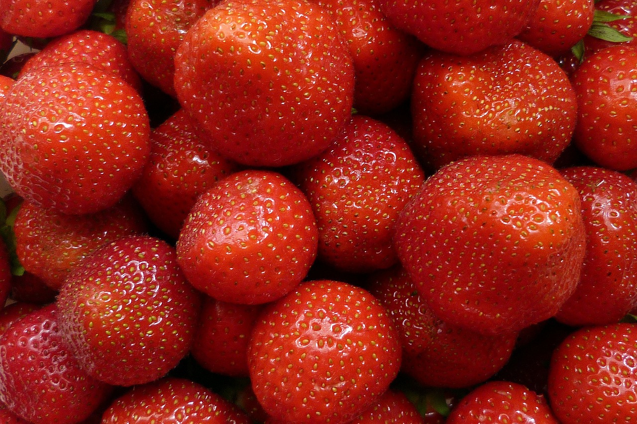 strawberry fruits fruit free photo