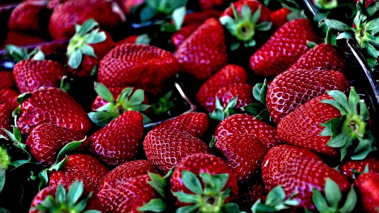 strawberry red macro free photo