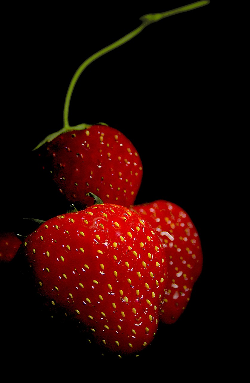 strawberry fruit red free photo