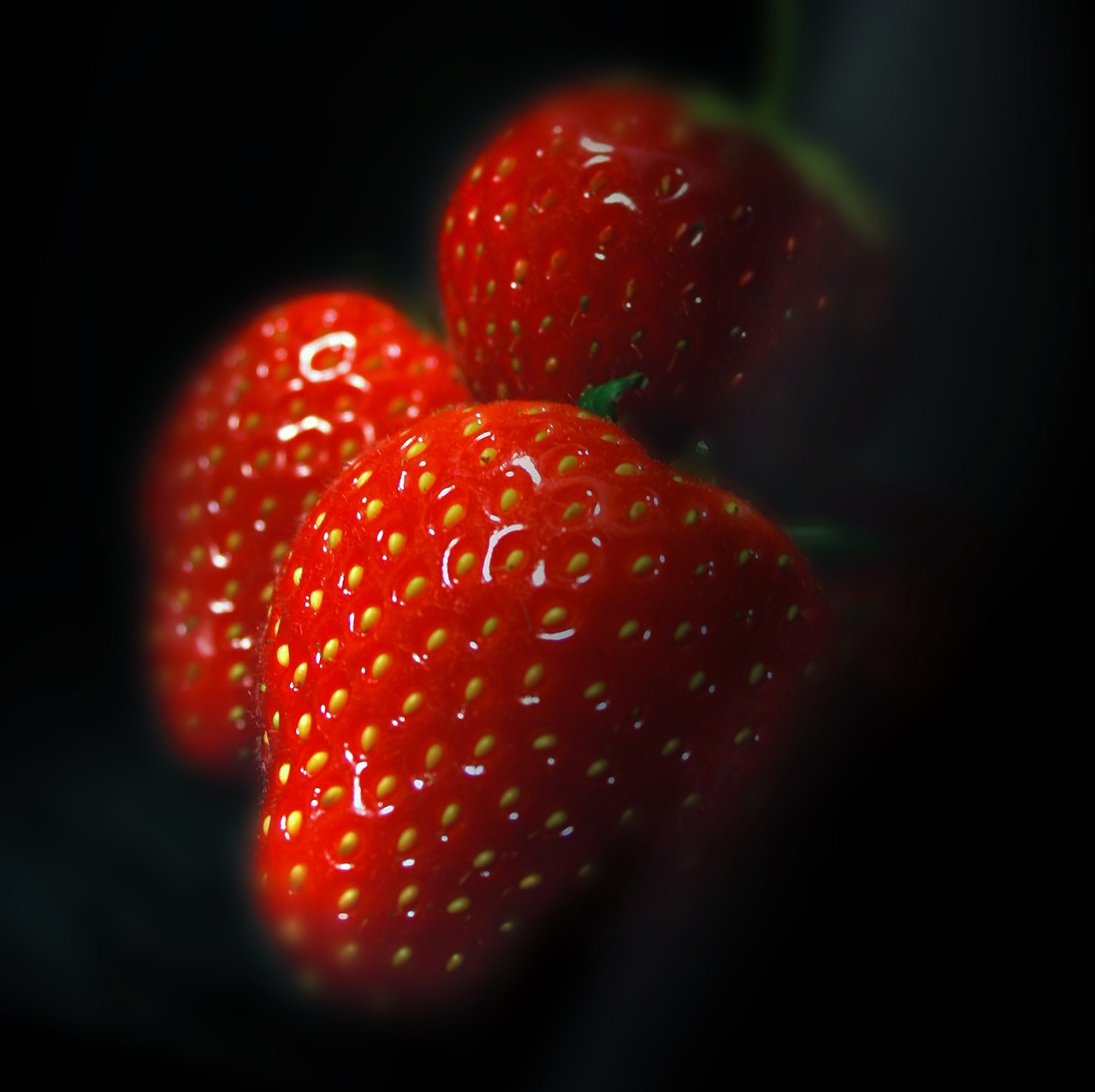 strawberry fruit red free photo