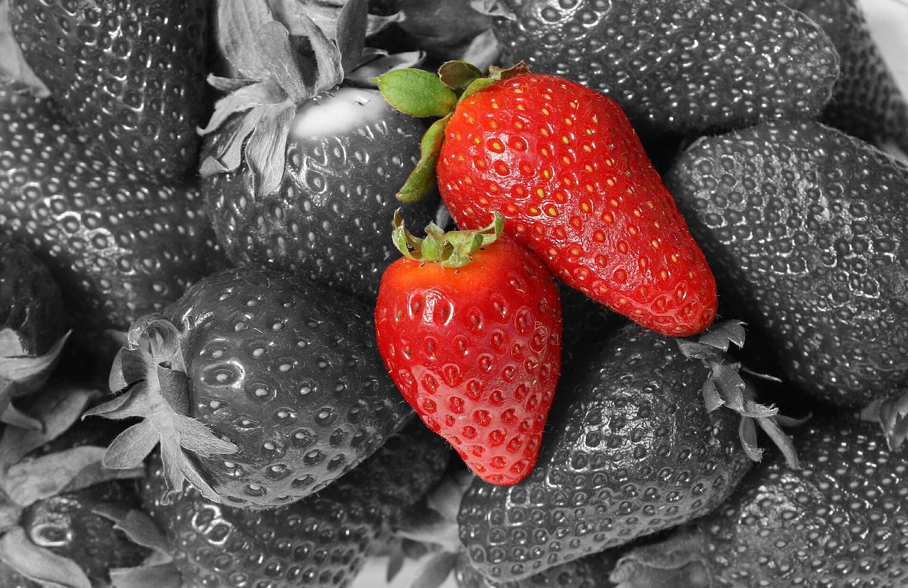 strawberry fruit food free photo