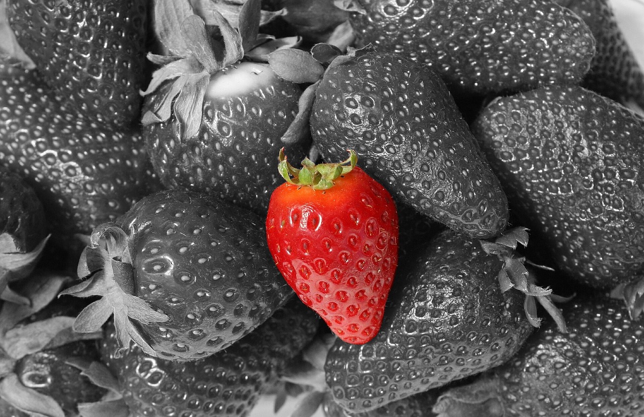 strawberry fruit food free photo