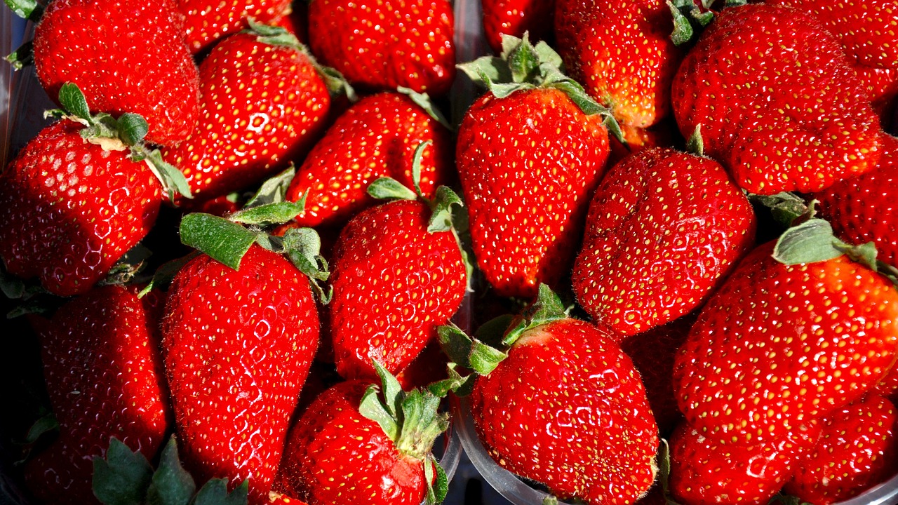 strawberry fruit spring free photo