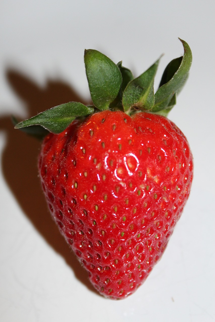 strawberry berry red free photo