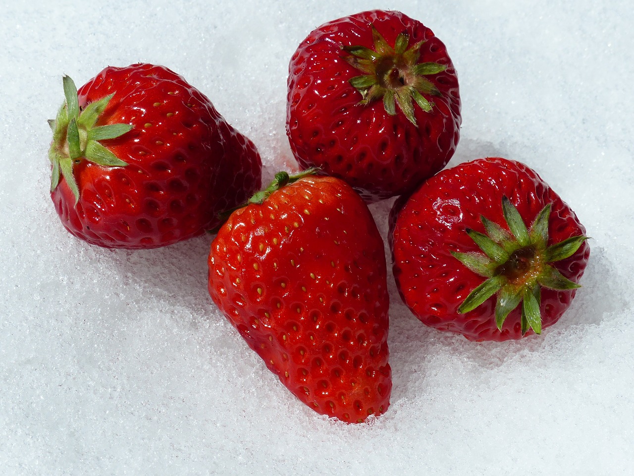 strawberry red snow free photo