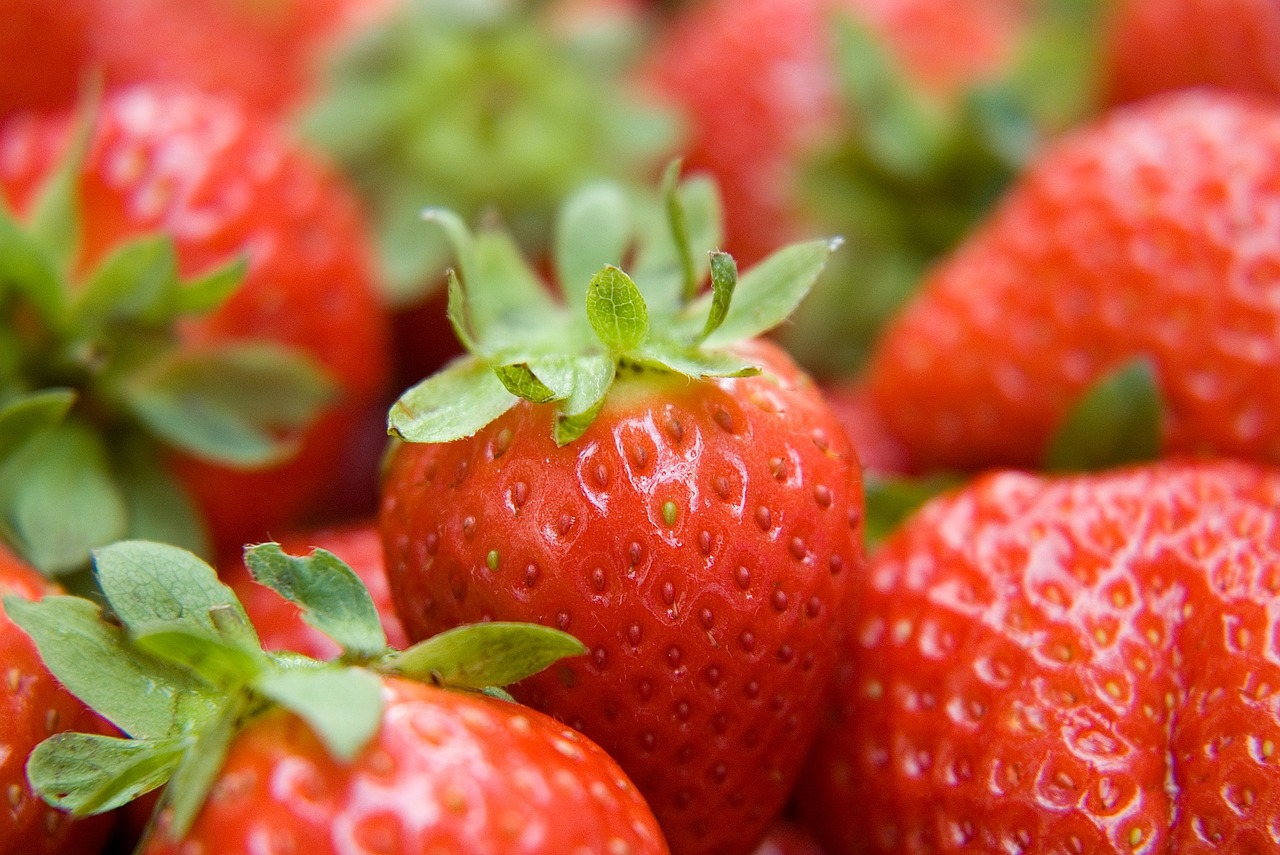 strawberry fruit health free photo