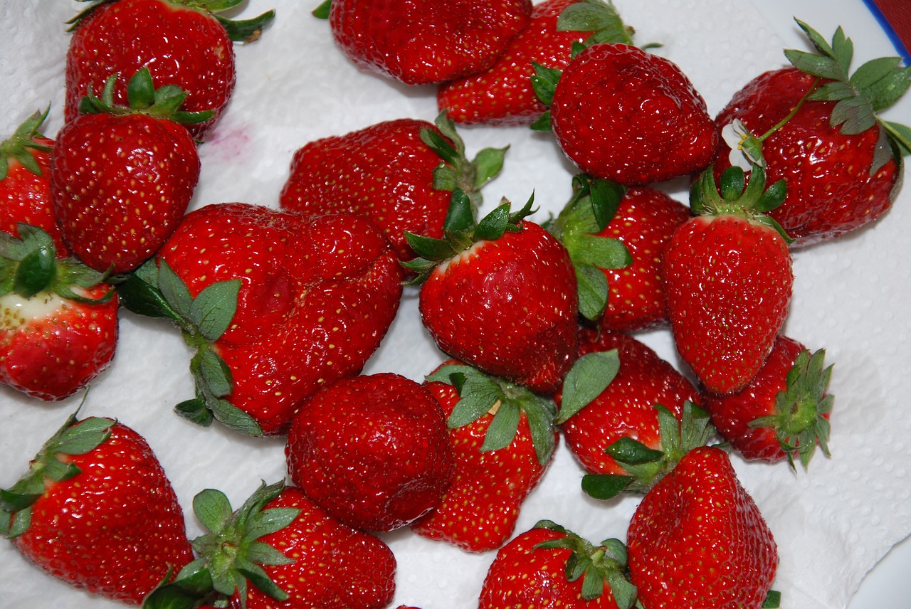 strawberry berry fruit free photo