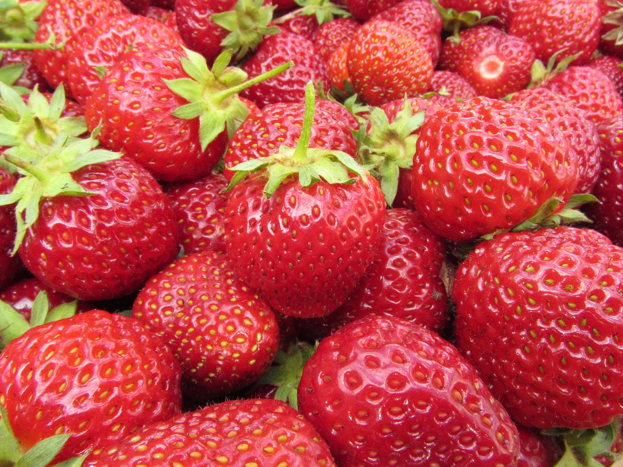 strawberry fruit red free photo