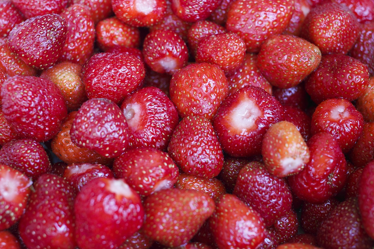 strawberry berry plant free photo