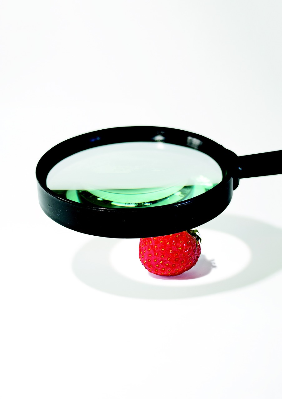 strawberry the magnifying glass research free photo