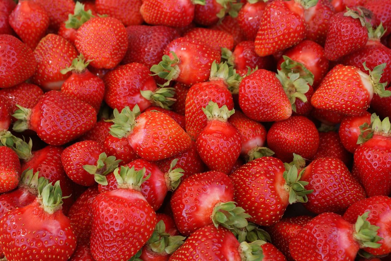 strawberry red fruit free photo