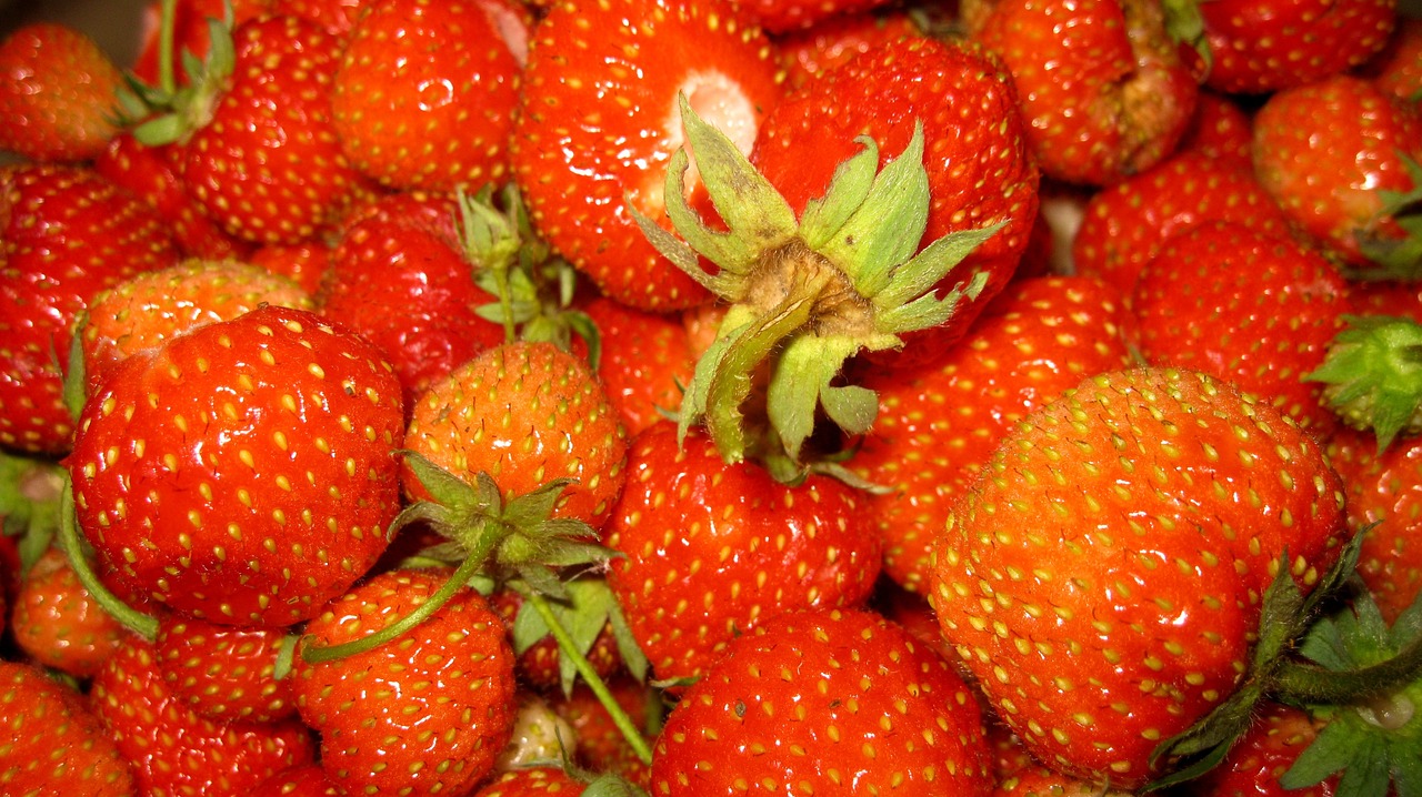 strawberry wild strawberry summer free photo