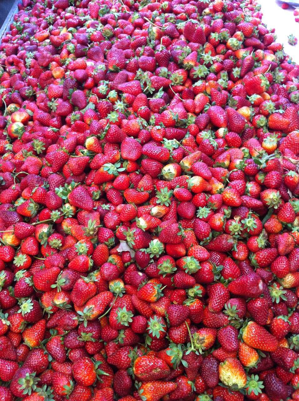 strawberry food fresh free photo