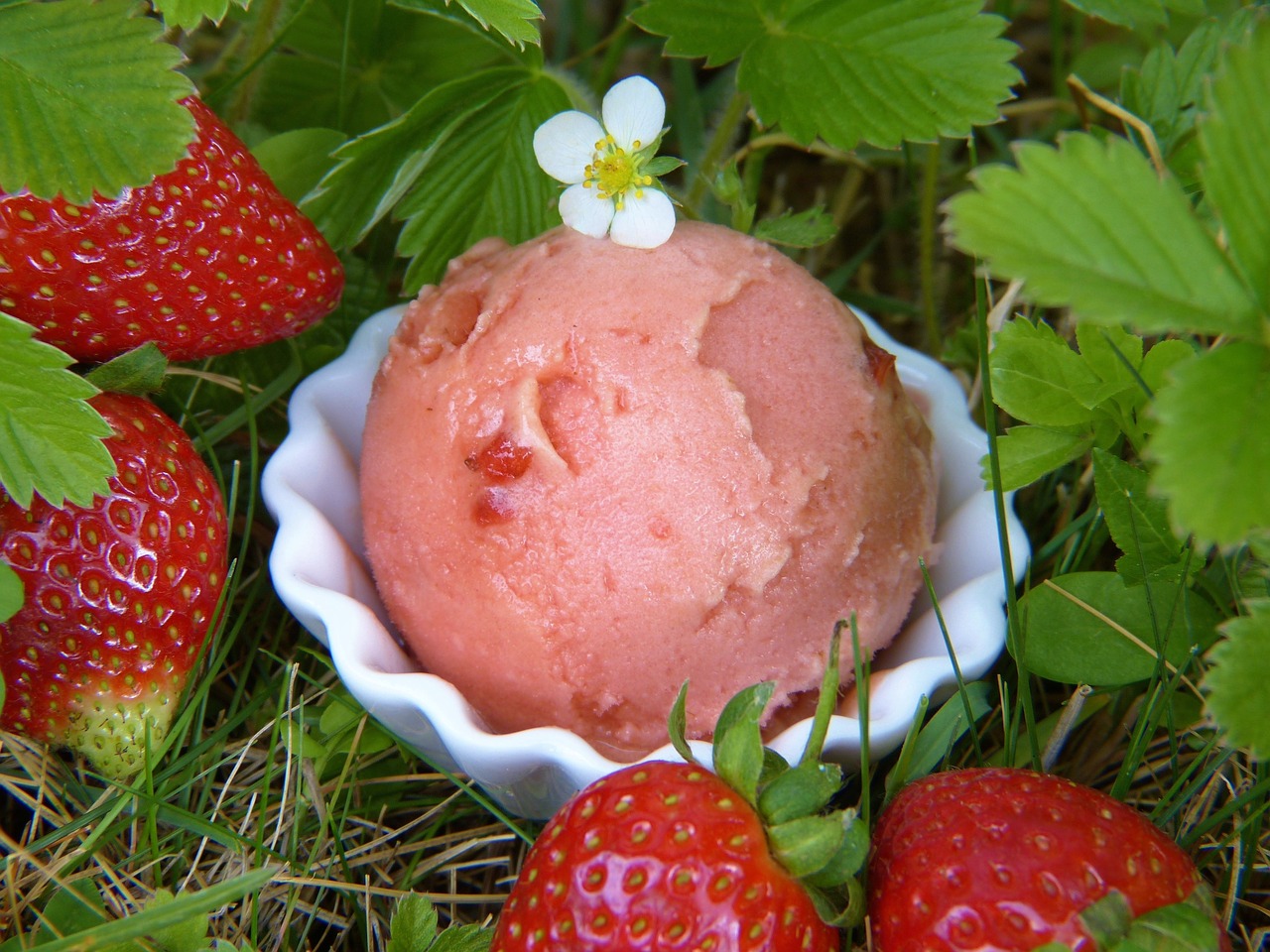 strawberry ice cream strawberries ice cream free photo