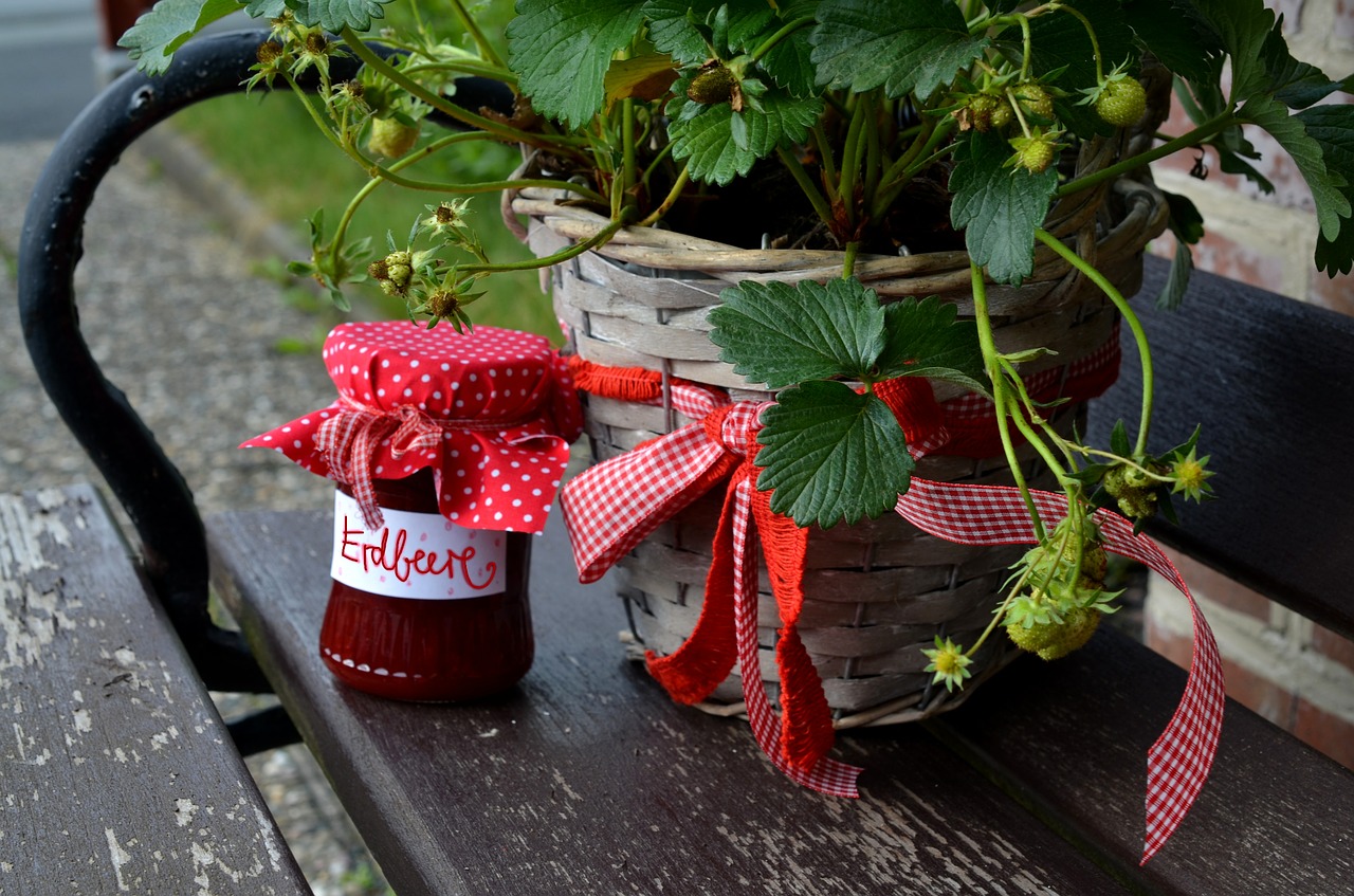 strawberry jam strawberries strawberry plant free photo