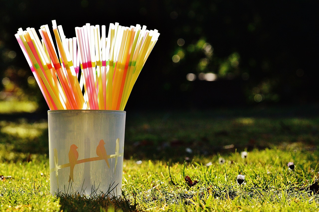 straws drink tube free photo