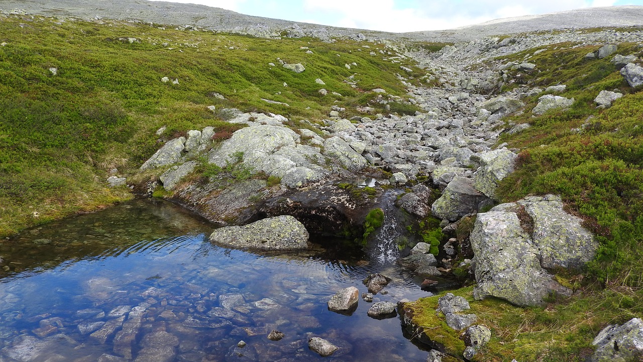 stream creek mountain river free photo