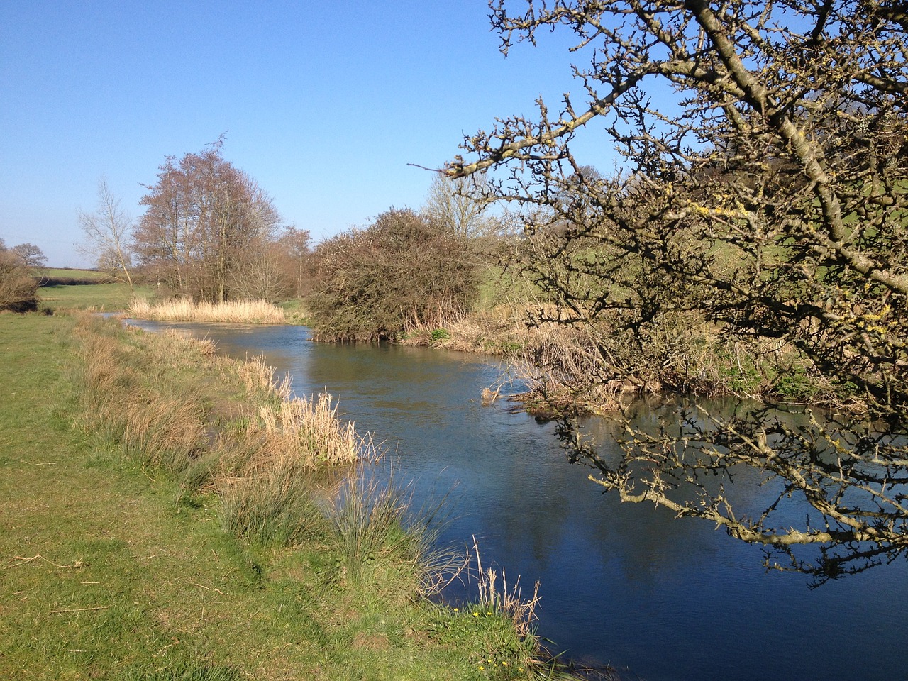 stream river water free photo