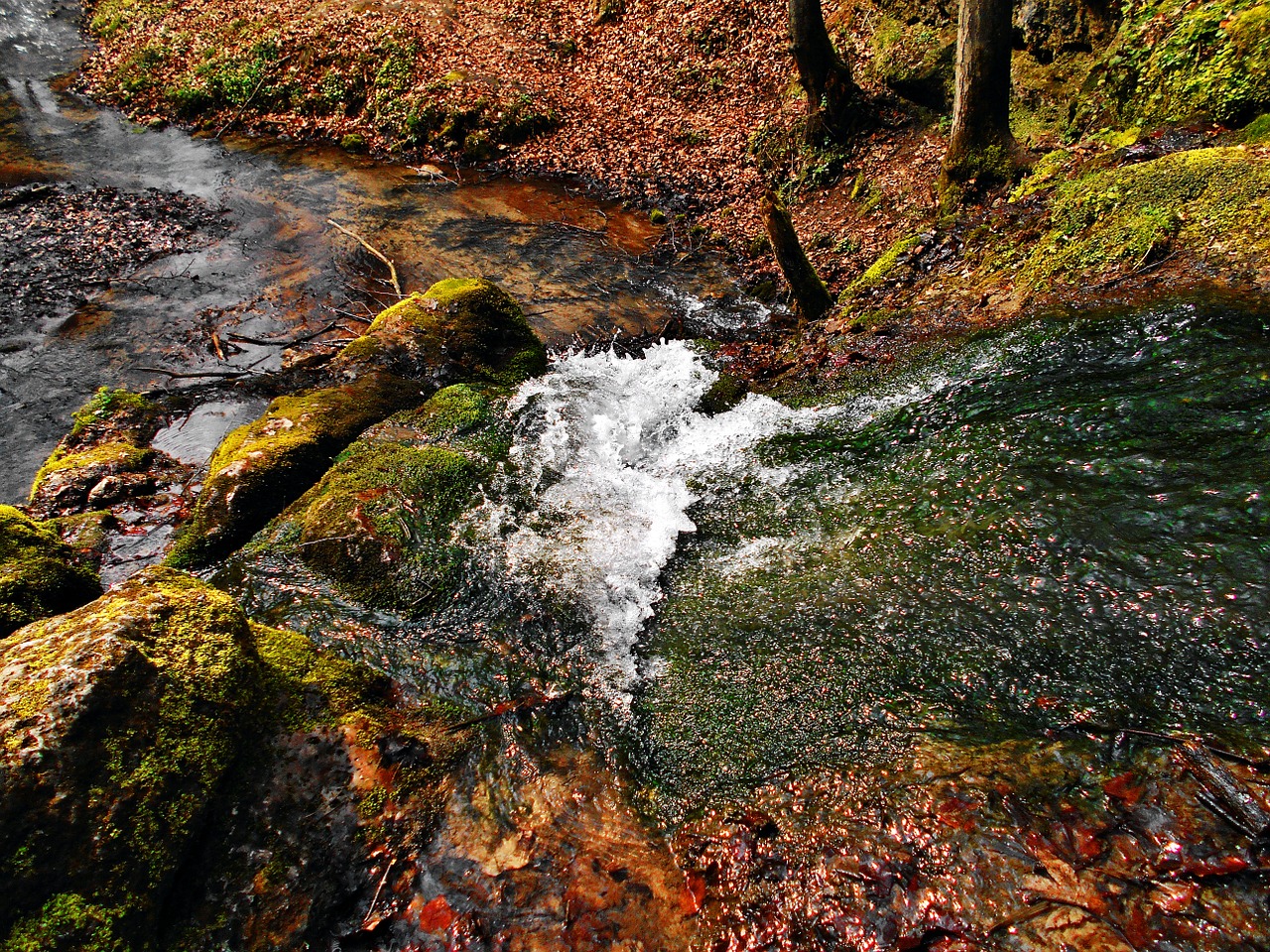 stream valley będkowska valleys near cracow free photo