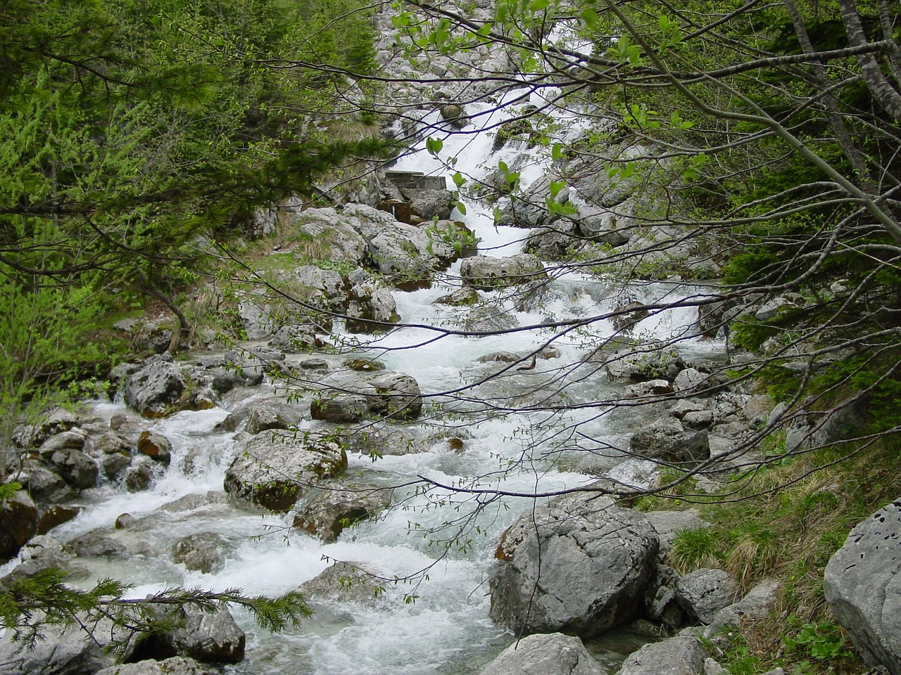 stream nature rocks free photo