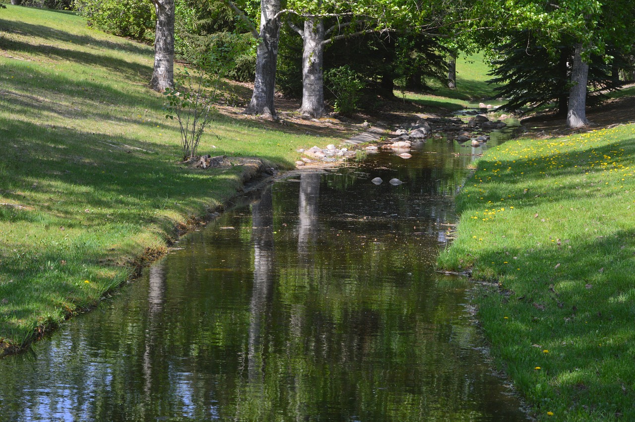 stream reflection trees free photo