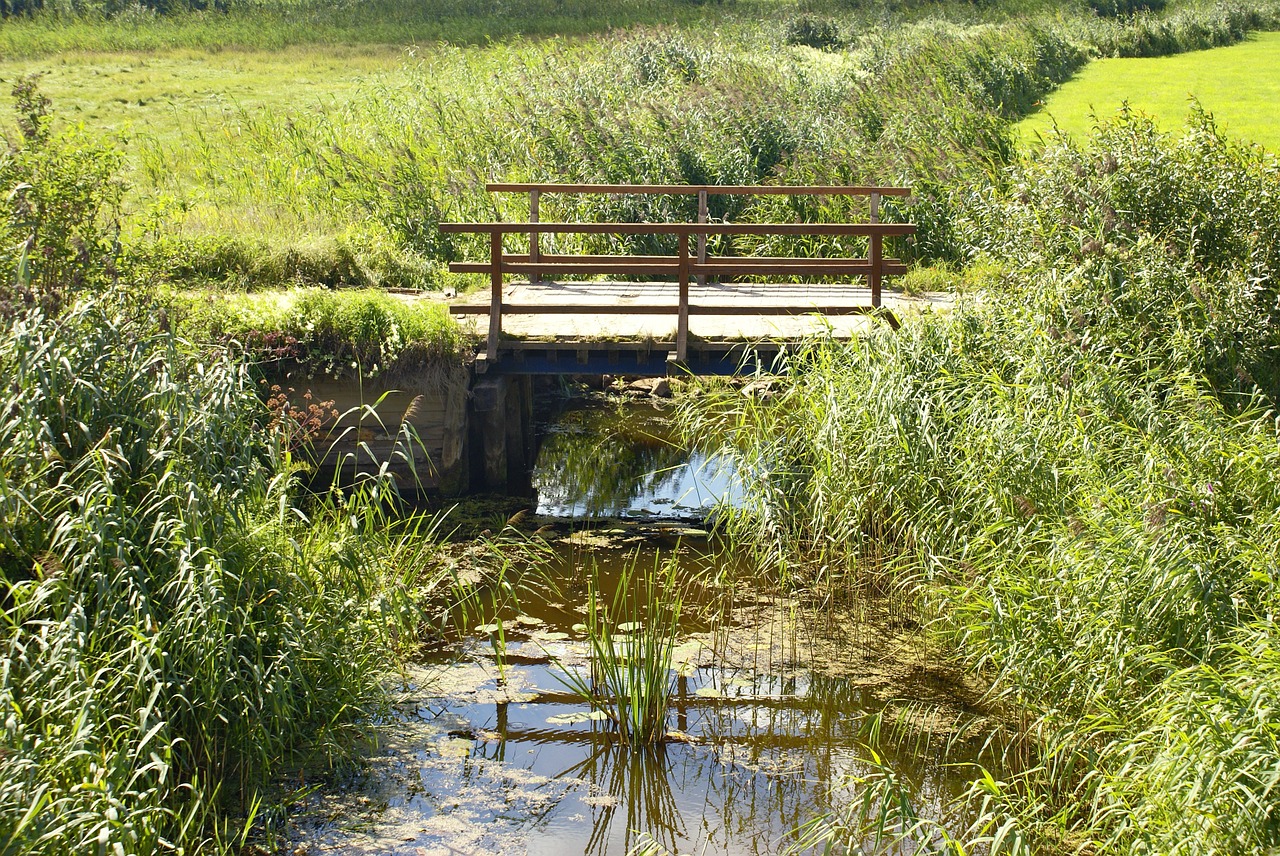 stream bridge meadow free photo