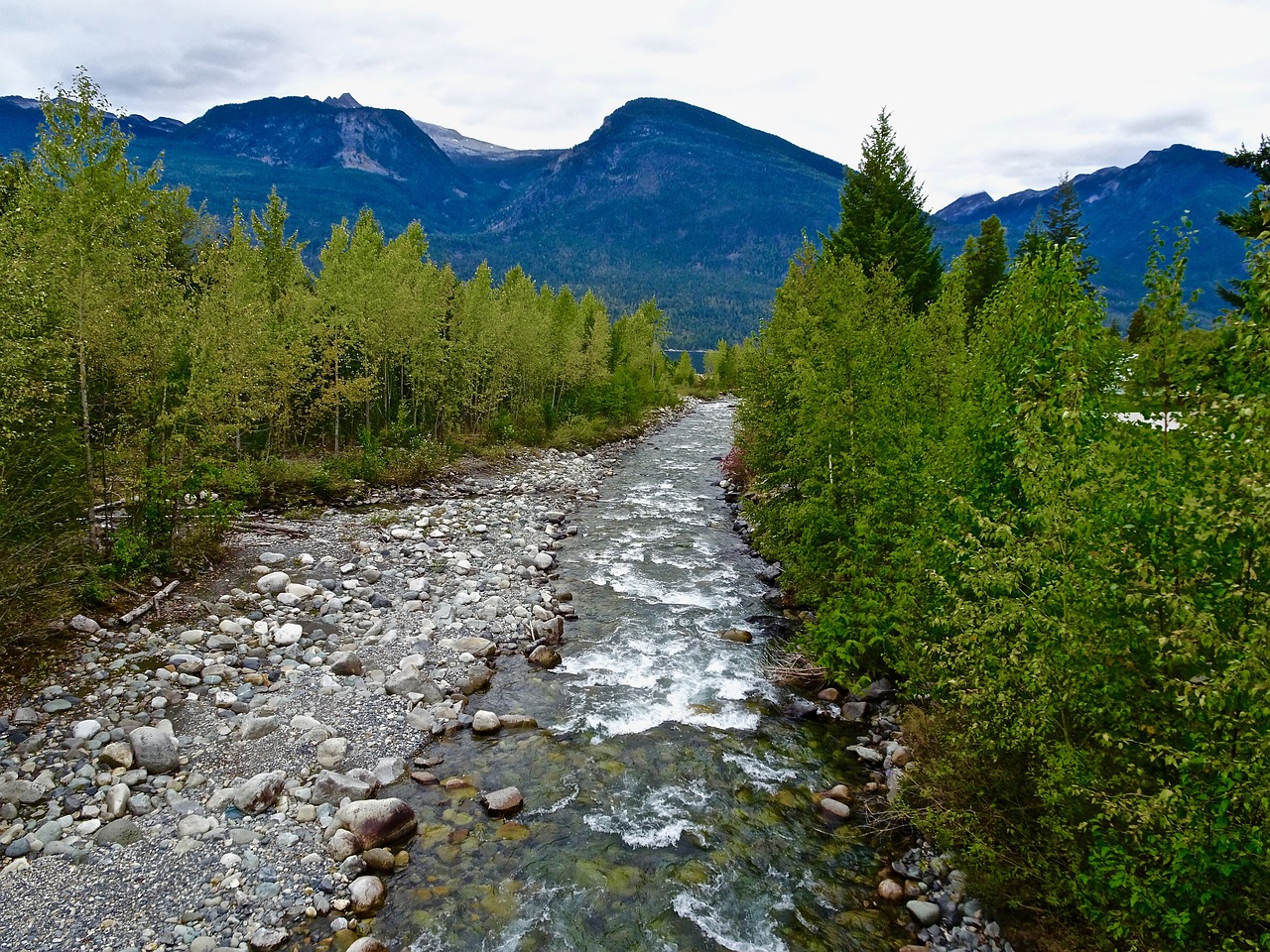 stream natural landscape free photo