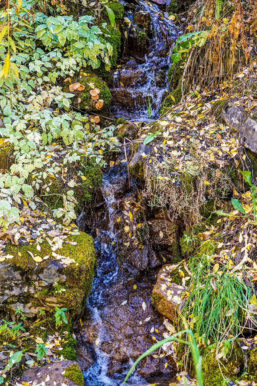 stream rocks nature free photo