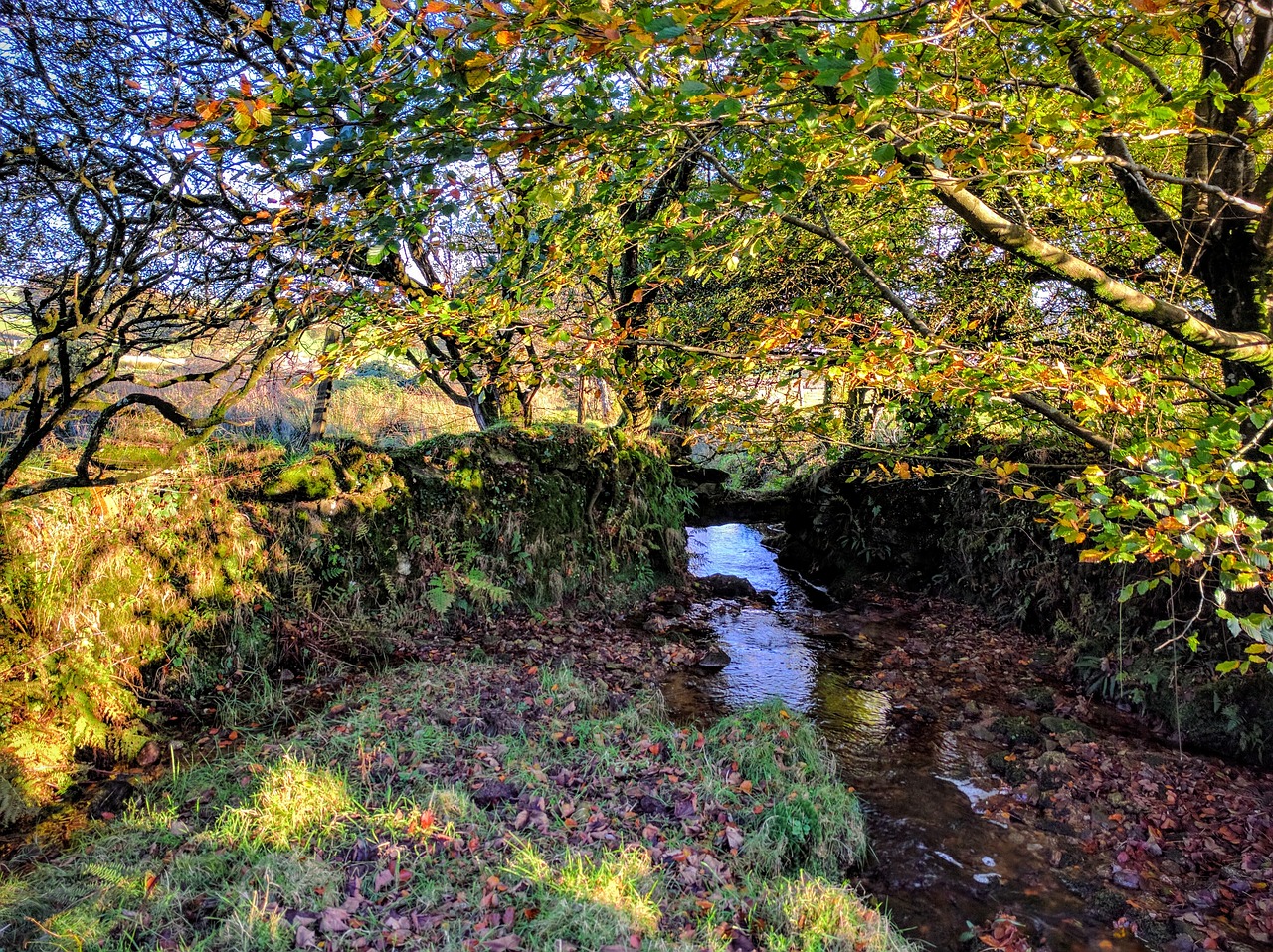 stream countryside autumn free photo