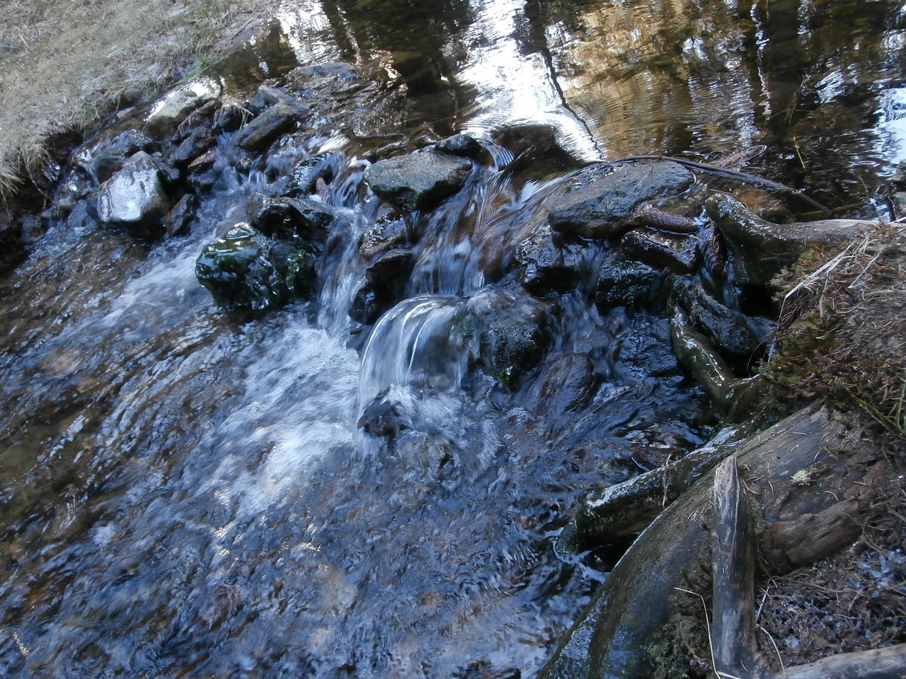 stream water running water free photo