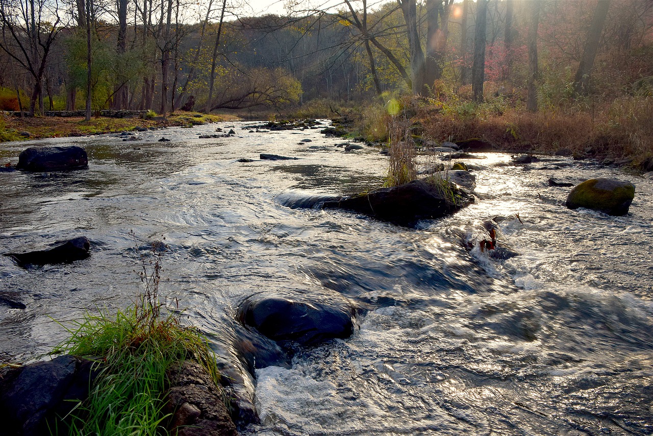 stream rocks water free photo