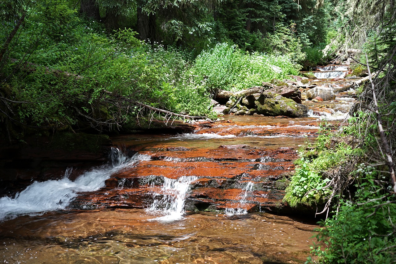 stream creek mountain stream free photo