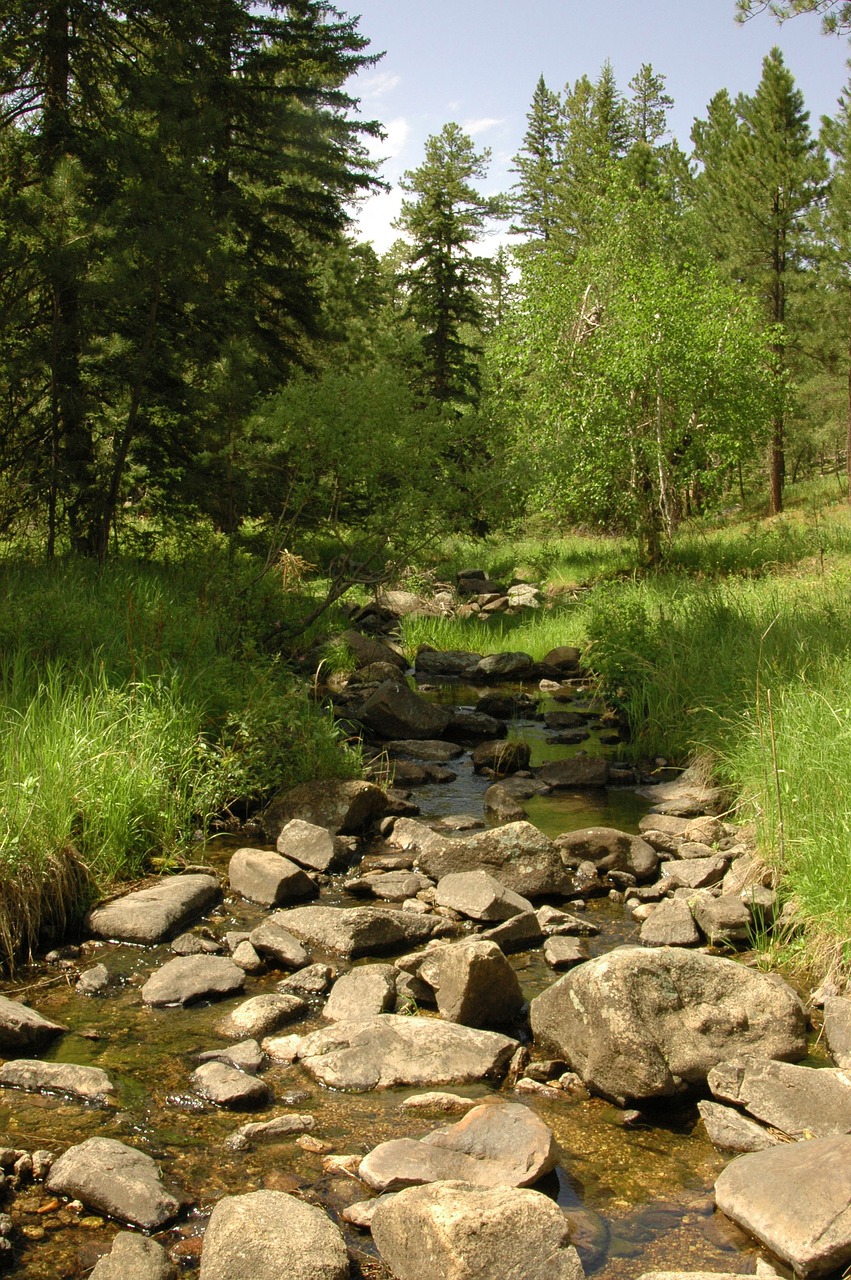 stream brook mountains free photo