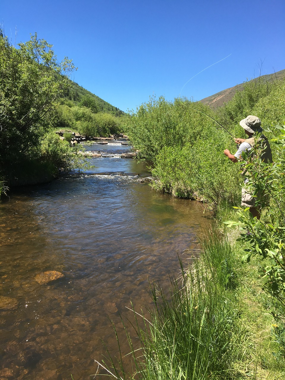 stream fishing fly free photo