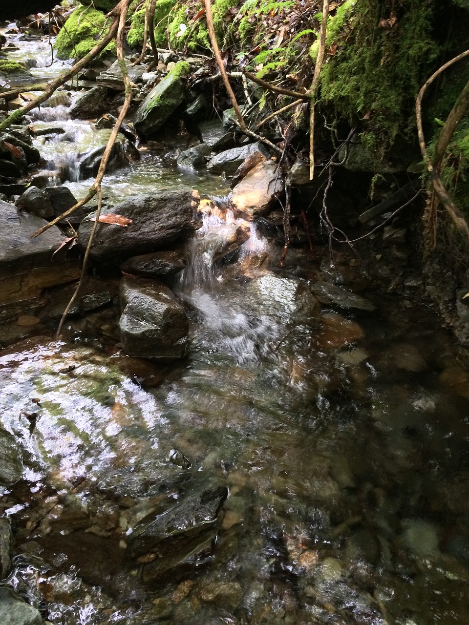 stream rocks water free photo