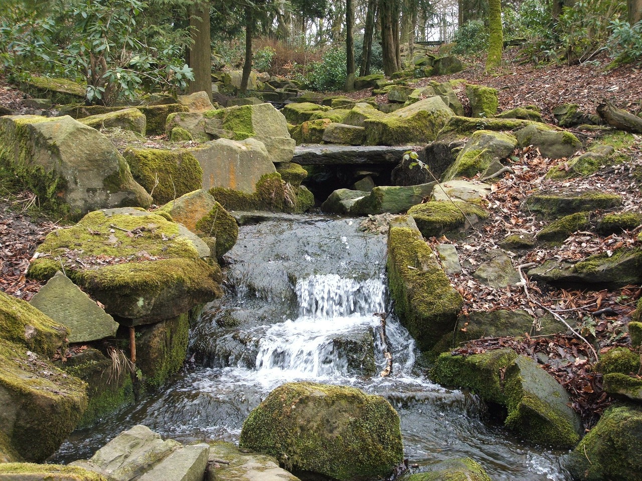 stream water rocks free photo