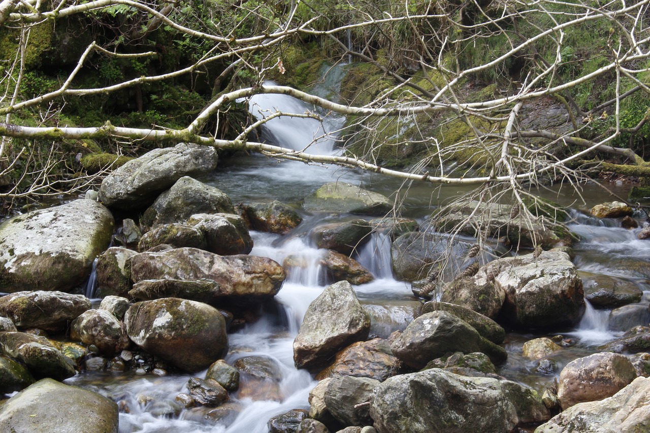 stream creek flow free photo