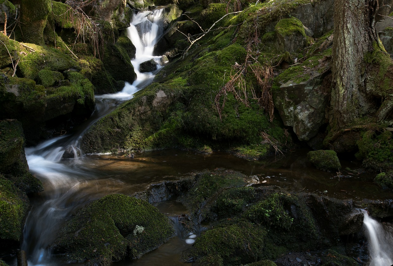 stream river water free photo