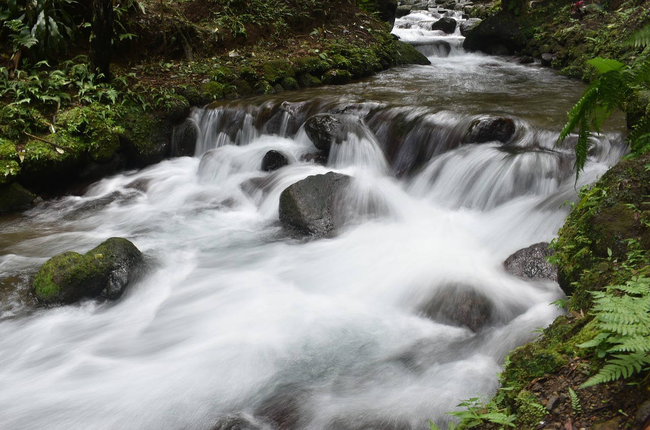 stream creek water free photo