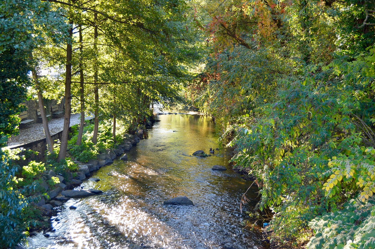 stream village germany free photo