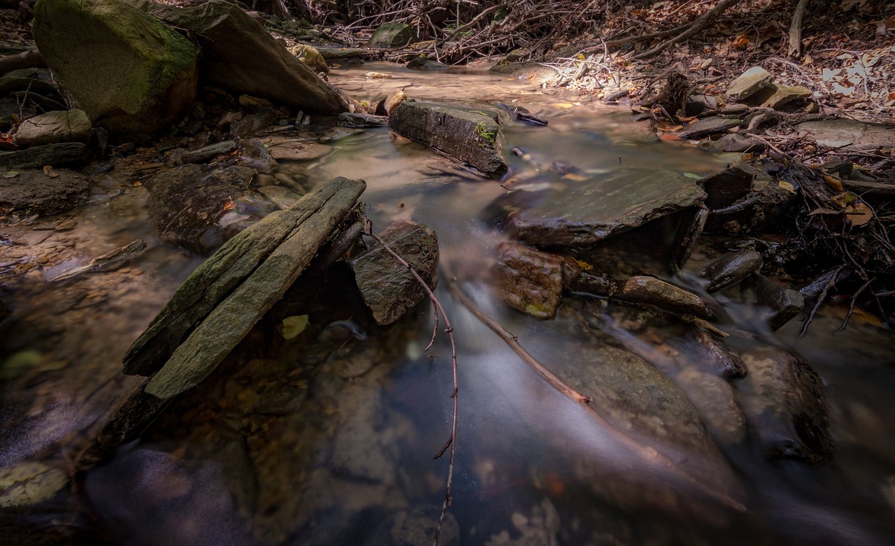 stream water wood free photo