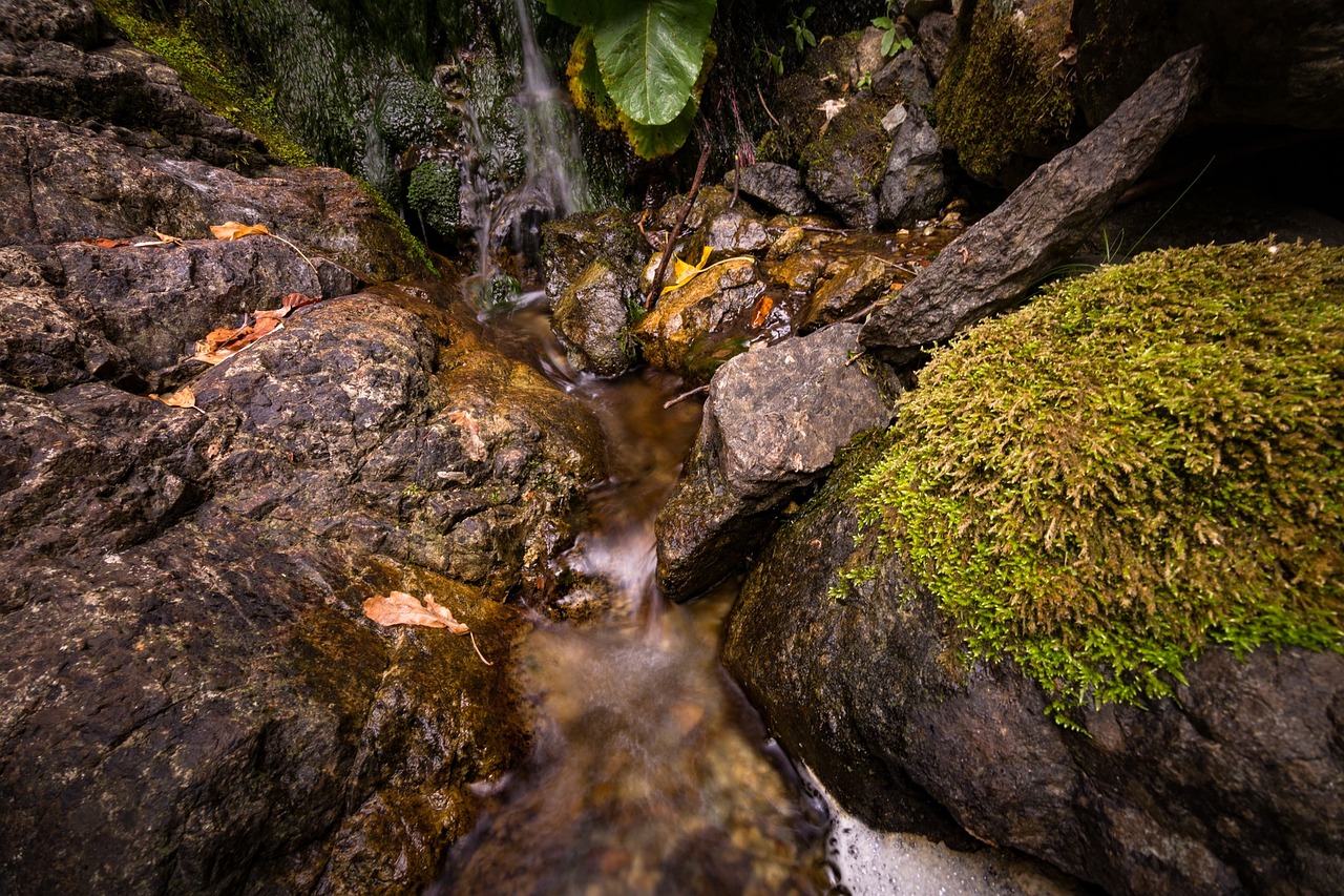 stream water green free photo