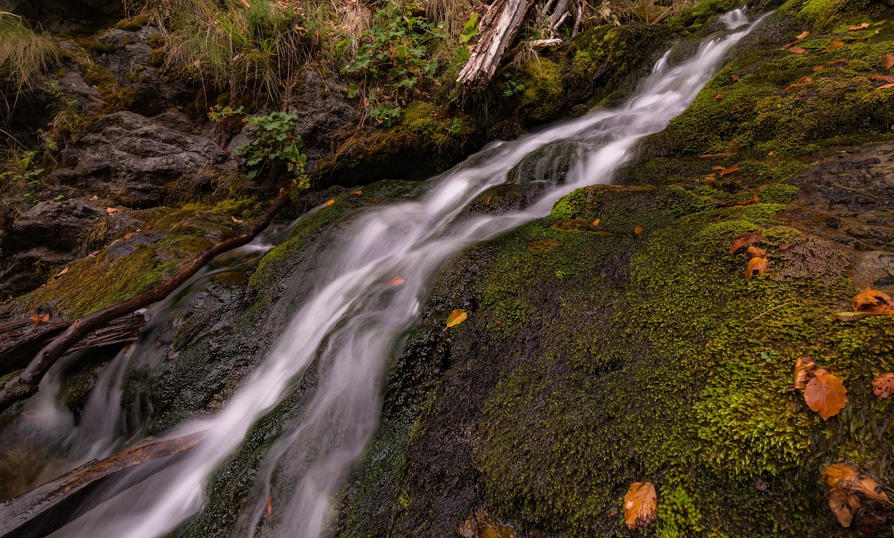 stream water green free photo